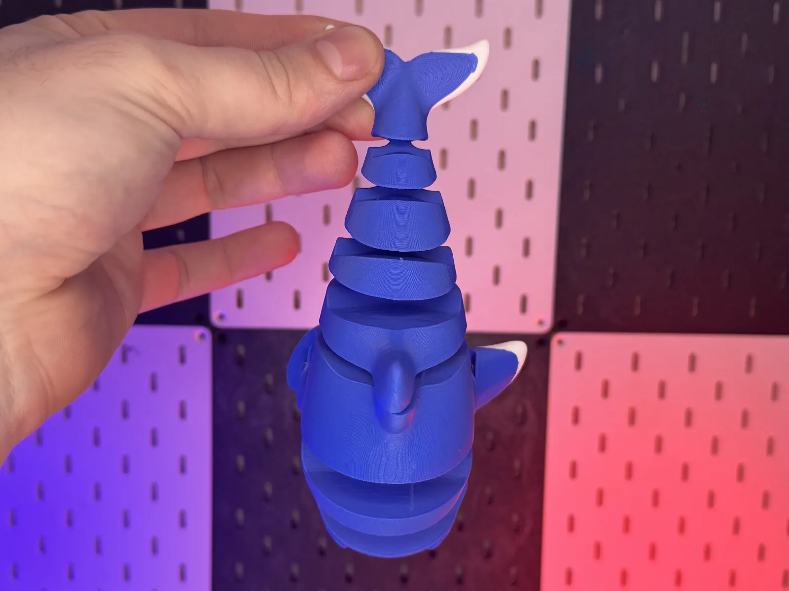 Flexi Dolphin – Beweglicher Delfin