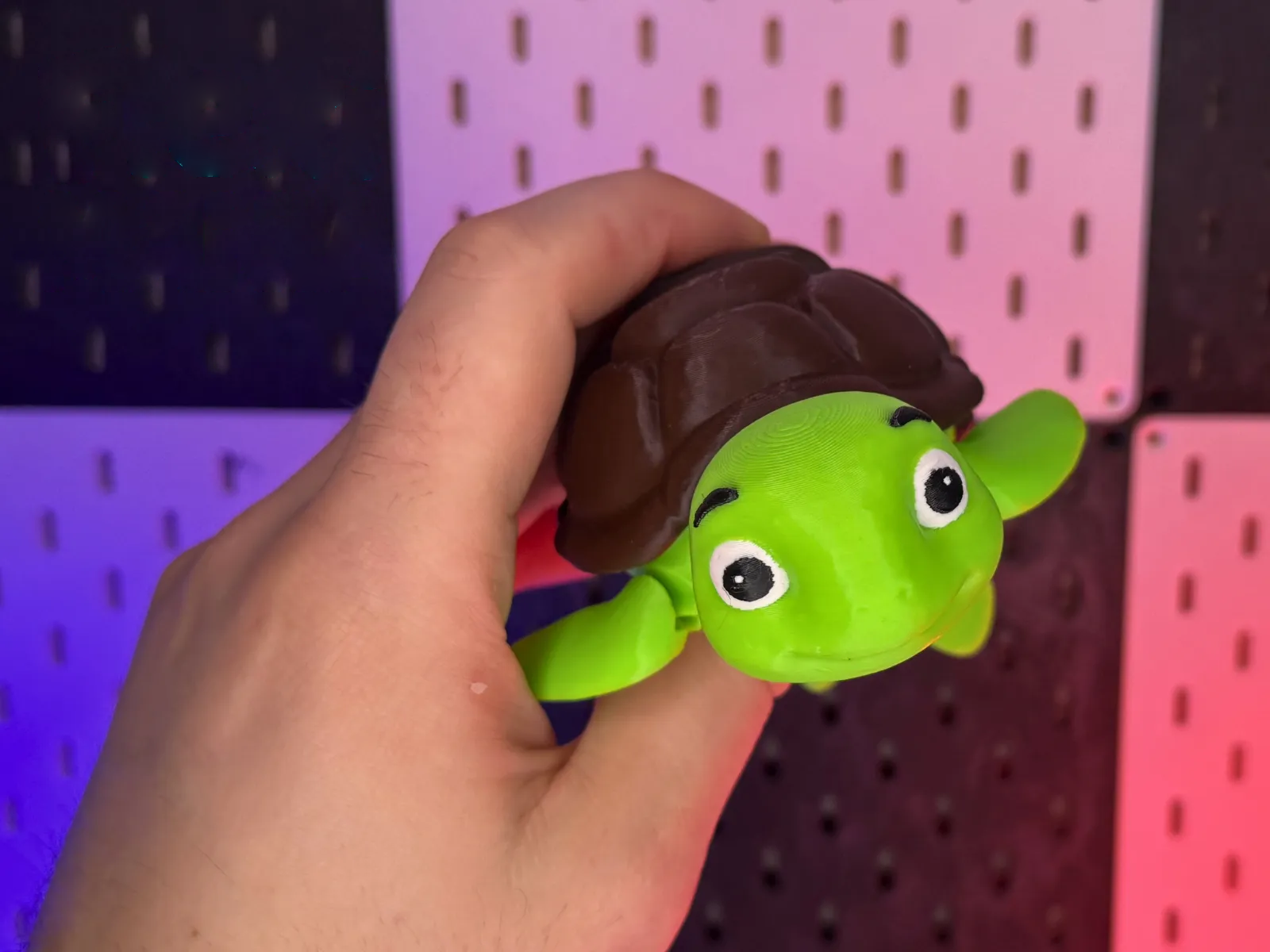 Süße bewegliche Schildkröte