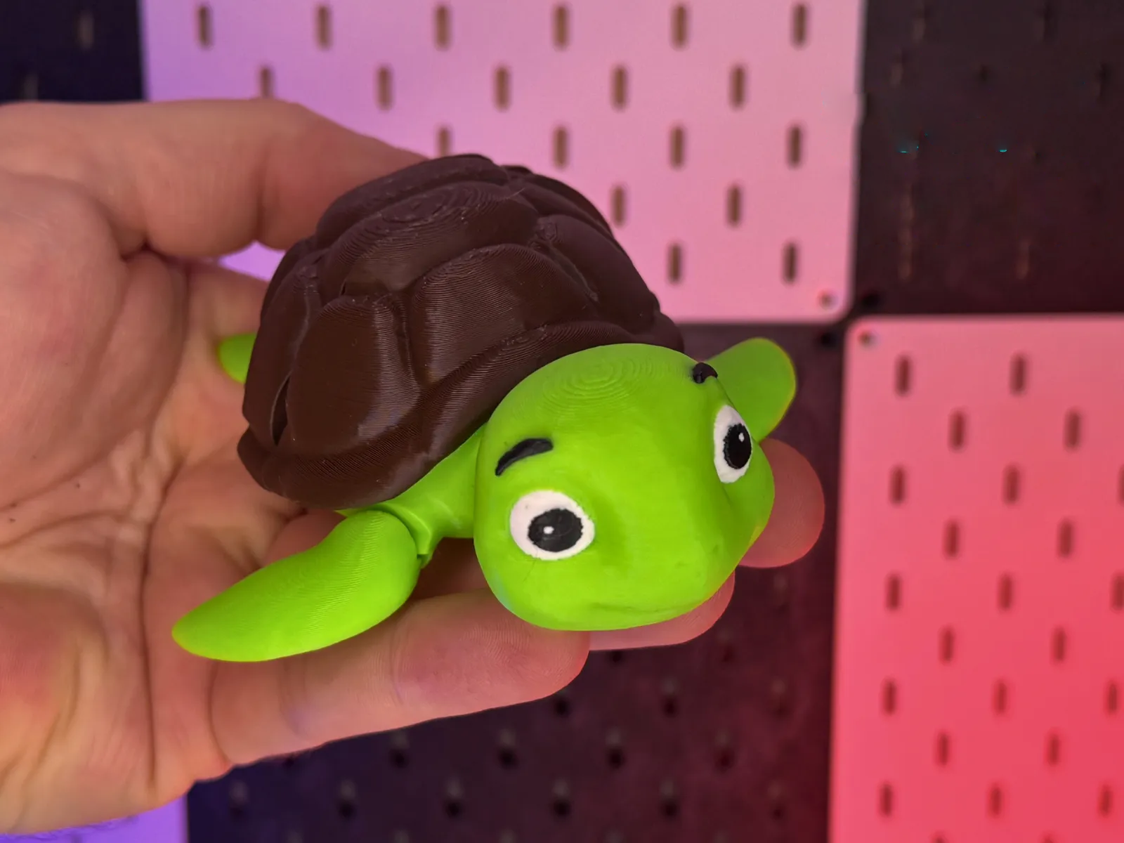 Süße bewegliche Schildkröte