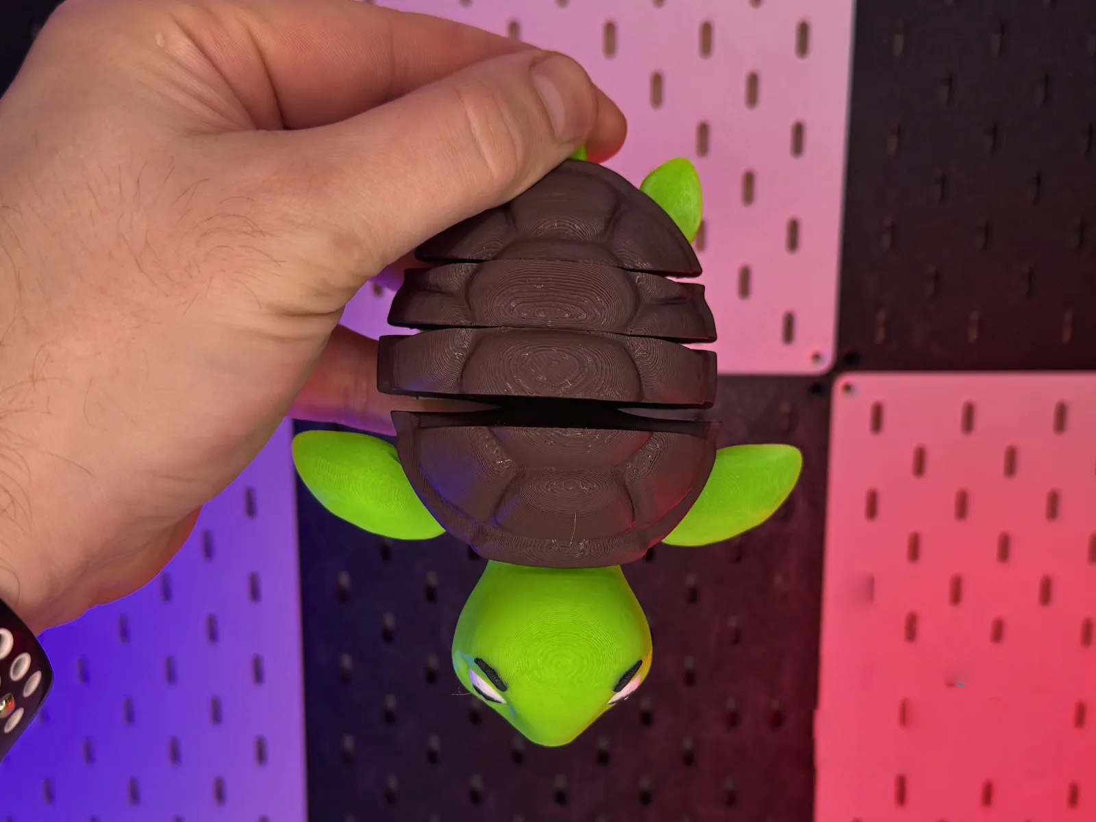 Süße bewegliche Schildkröte