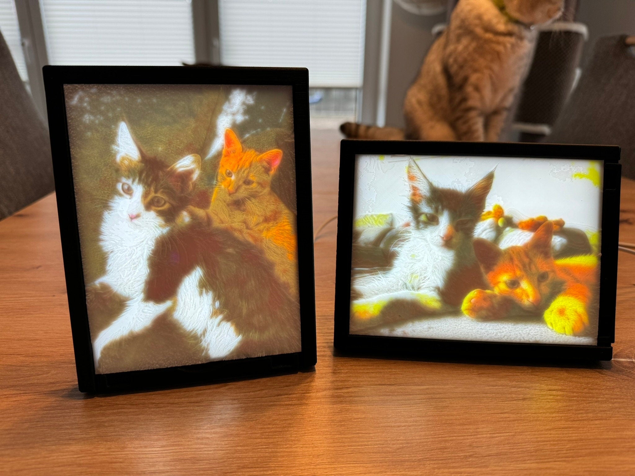 Custom Lithophane